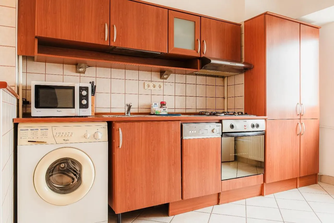 Piata Victoriei Apartment Bucharest