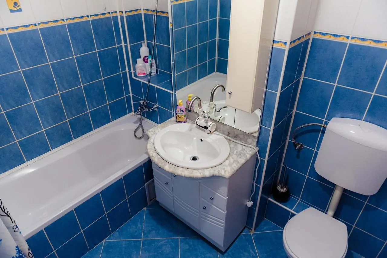 Piata Victoriei Apartment Bucharest